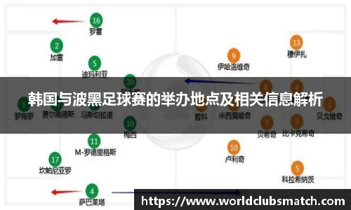 韩国与波黑足球赛的举办地点及相关信息解析